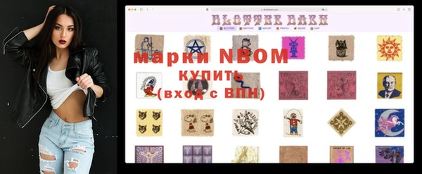 шишки Богородск