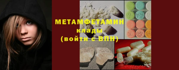 шишки Богородск
