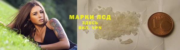 шишки Богородск