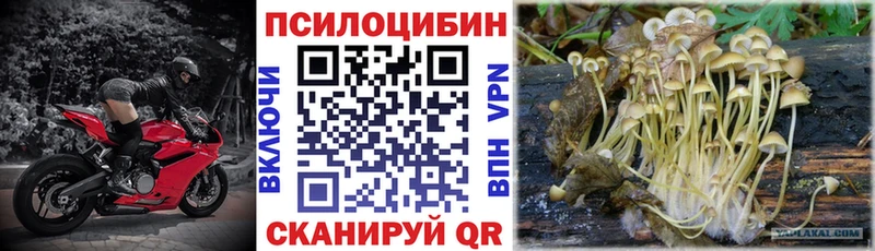 Псилоцибиновые грибы мухоморы  МЕГА зеркало  Выборг 