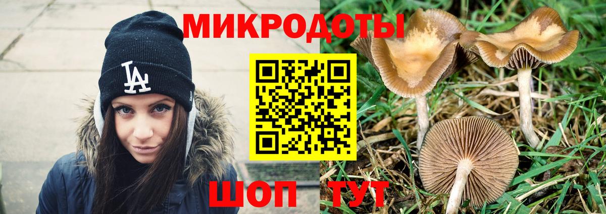 Галлюциногенные грибы Cubensis Выборг