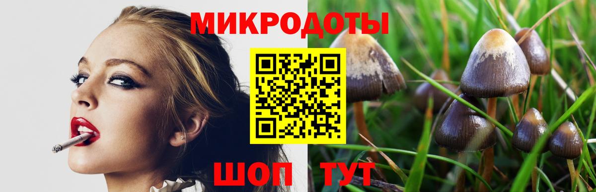 Псилоцибиновые грибы мухоморы  закладки  Выборг  Вход с VPN 