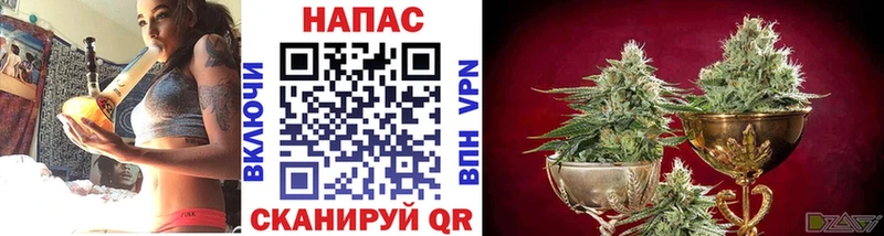 наркота  Выборг  ссылка на мегу tor  Канабис VHQ 