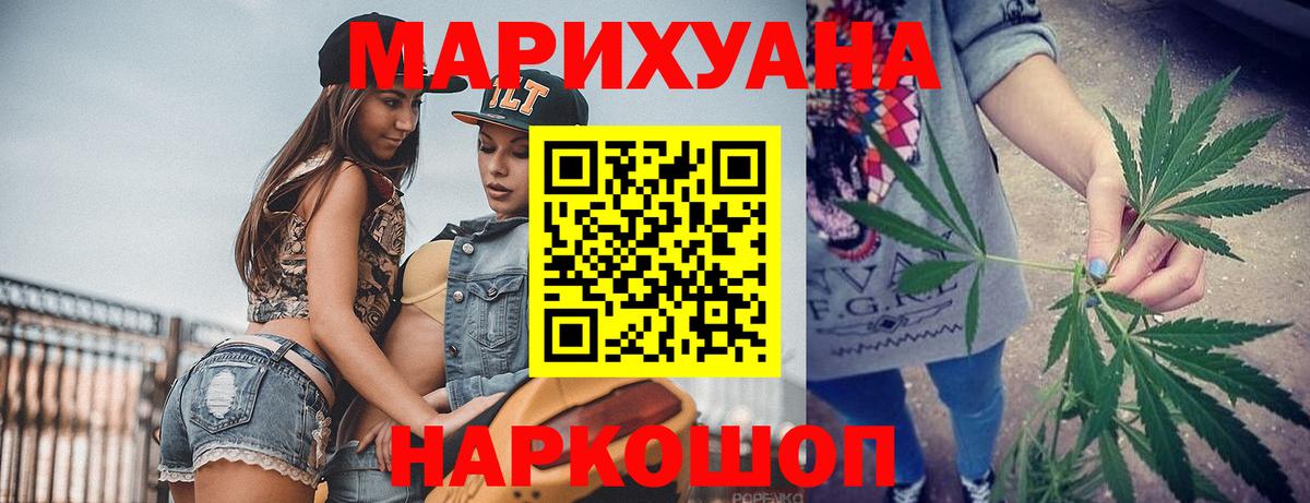 Бошки Шишки семена  Конопля план  Конопля сатива  Выборг  Вход с VPN 